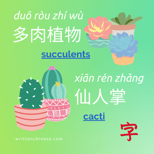 plants in Chinese